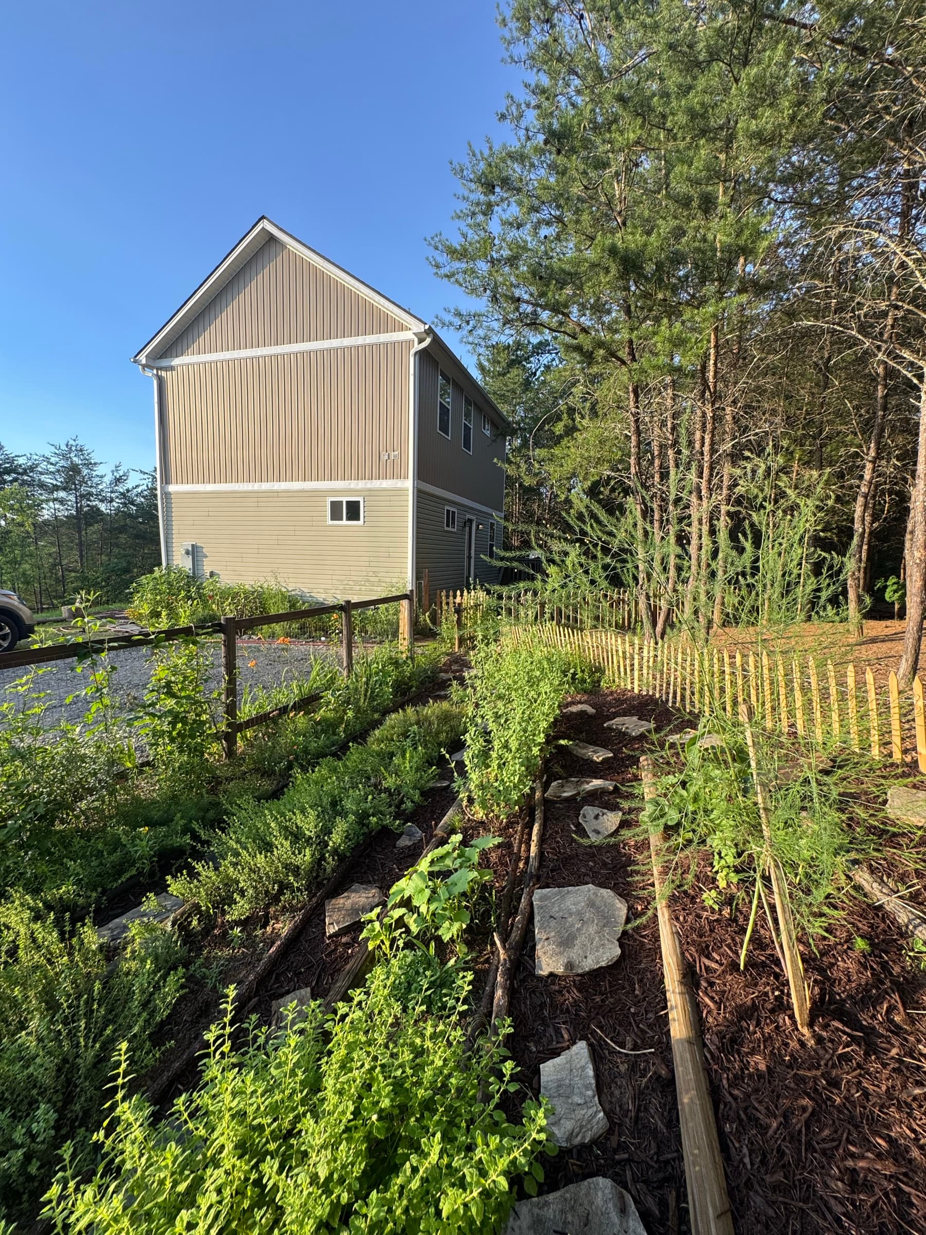 Garden beds and stepping stones leading toward the green house