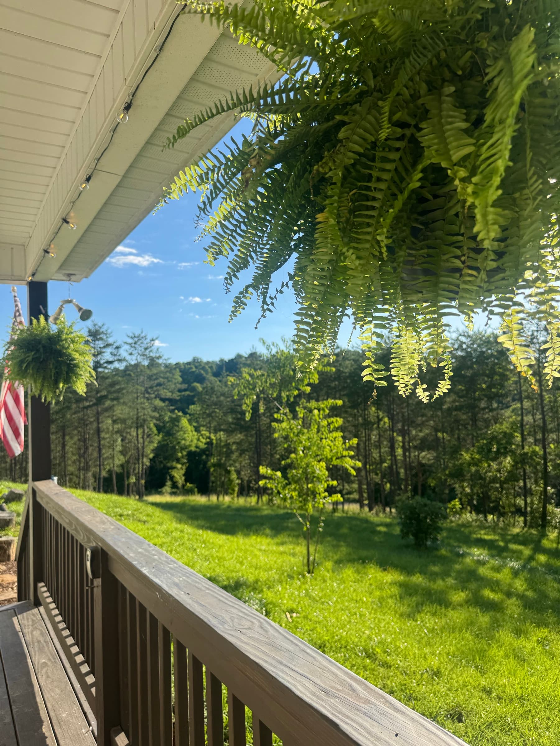 View from the covered porch across the lawn to the tree line